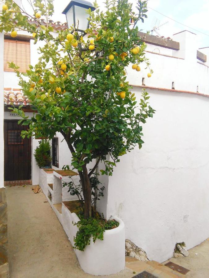 BenadalidCasa Solana别墅 外观 照片